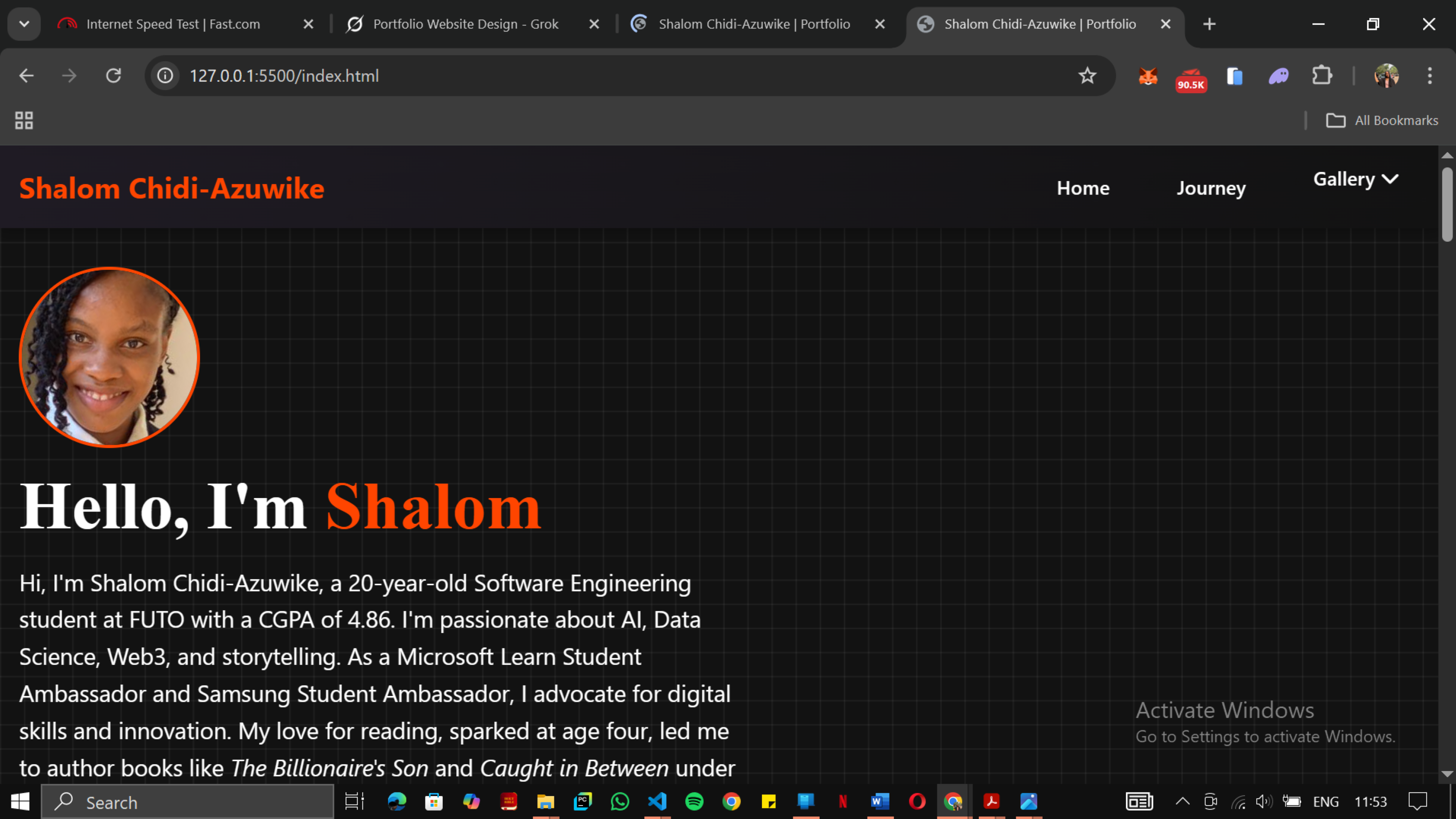 Shalom's Old Portfolio